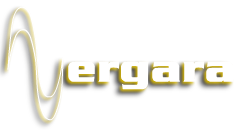 amplificadores portatiles vergara