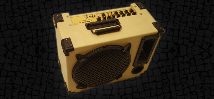 Amplificador portatil de multinfuncion 20w x 10 pulgadas